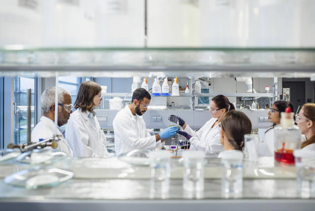 Disfunción mitocondrial altera microbiota y reduce bacterias beneficiosas en el intestino. iStock