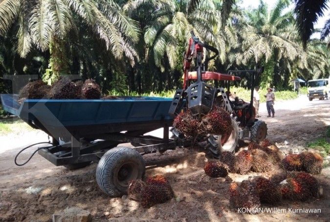 Sawit Sumbermas Catat Produksi TBS 813.000 MT di Semester I 2025
