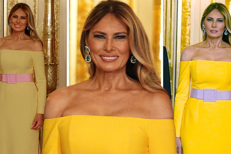 Melania Trump's 'optical illusion' dress sparks huge online debate over