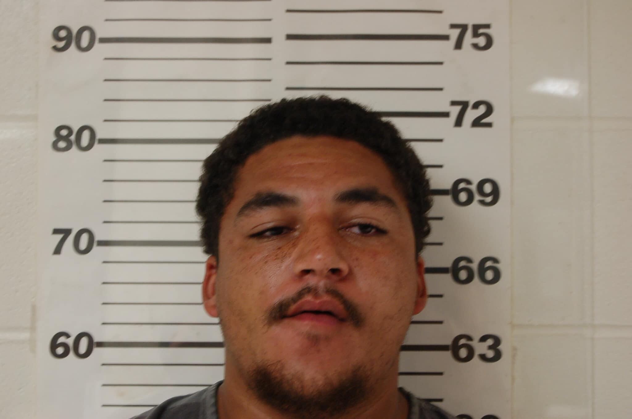 Henderson County man arrested after deputies find cocaine, fentanyl in