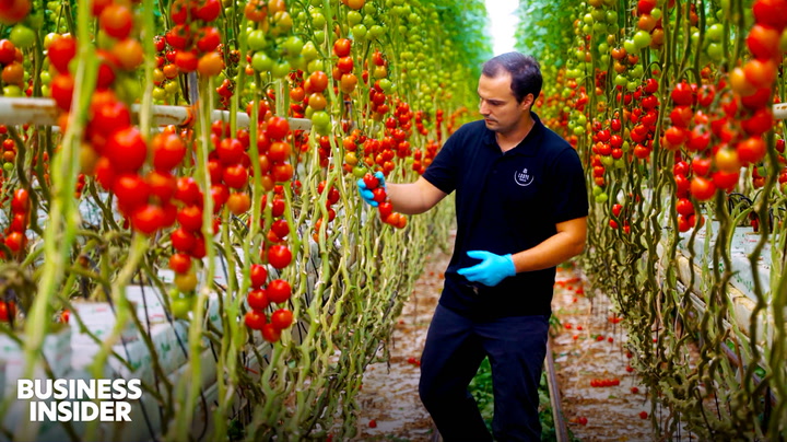 How a tiny country became the second-biggest agricultural exporter in the world