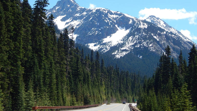 Washington’s bull elk started bugling this month, and these four spots ...