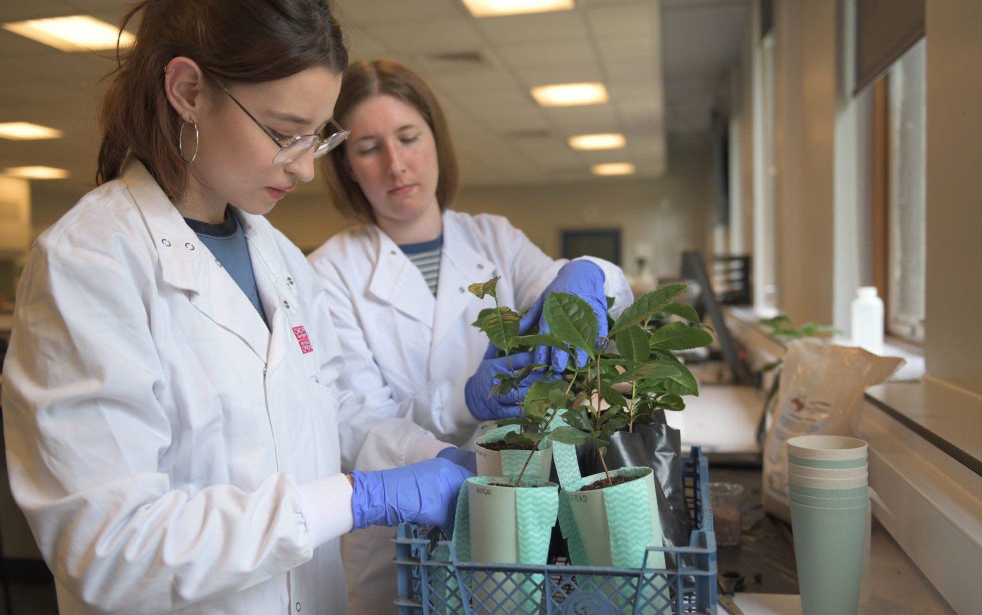 University of Kent researchers mimicked conditions in space for growing plants