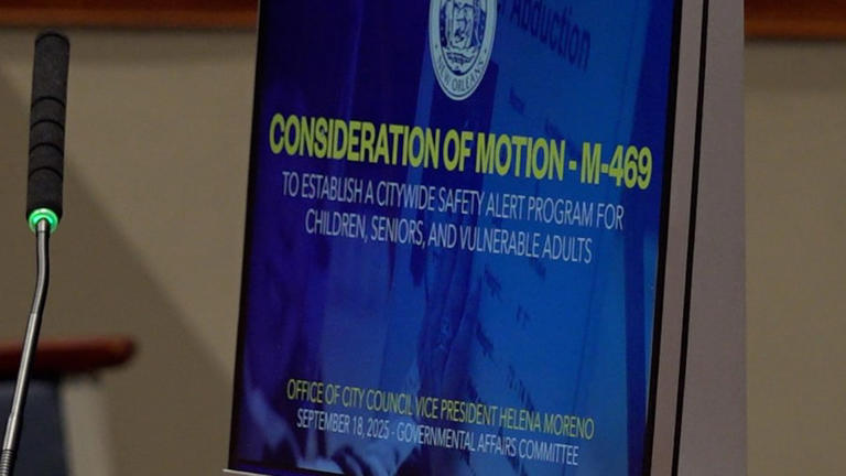 New Orleans Governmental Affairs Committee greenlights alert system for ...