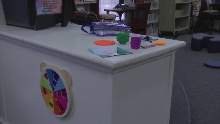 Castleton Library opens inclusive space for neurodivergent visitors