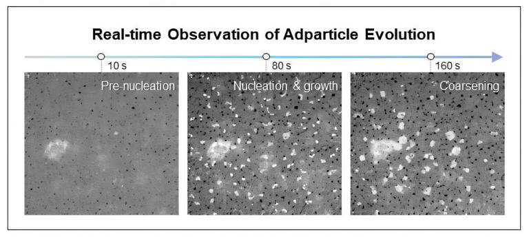 In-situ liquid-phase TEM observation of nanoparticle formation and growth on Cu–Ag thin films. Credit: Nature Catalysis