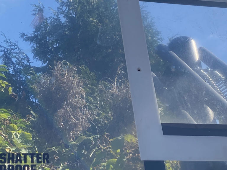 Seattle police arrest Amazon driver after shots fired on Capitol Hill