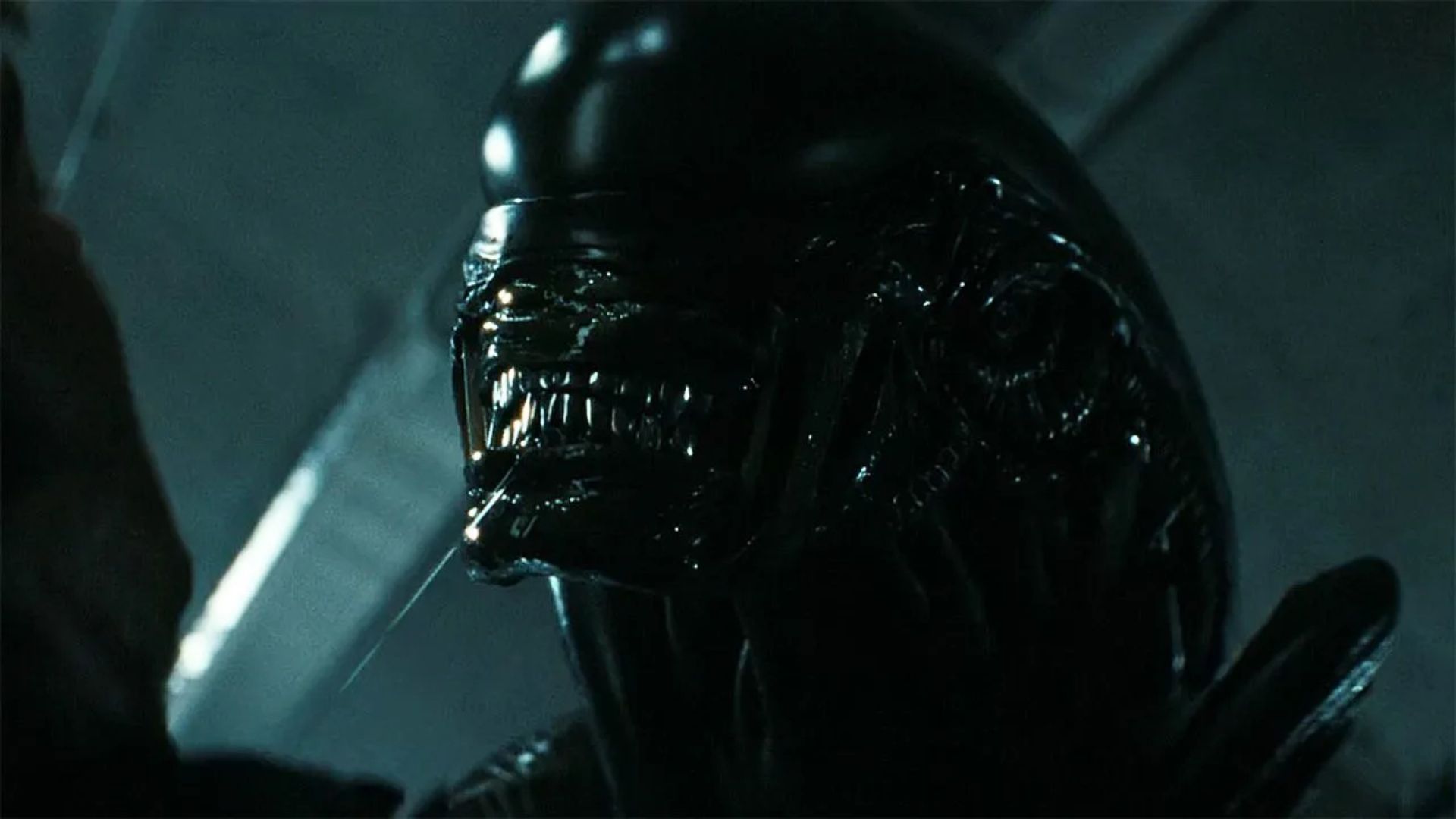 'Alien: Earth' creator confirms the sci-fi series' future ahead of season 2