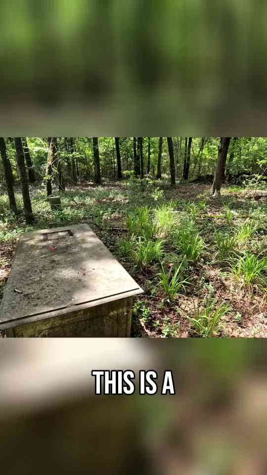 Bible Carving Cemetery - Uncovering Georgia's Hidden History