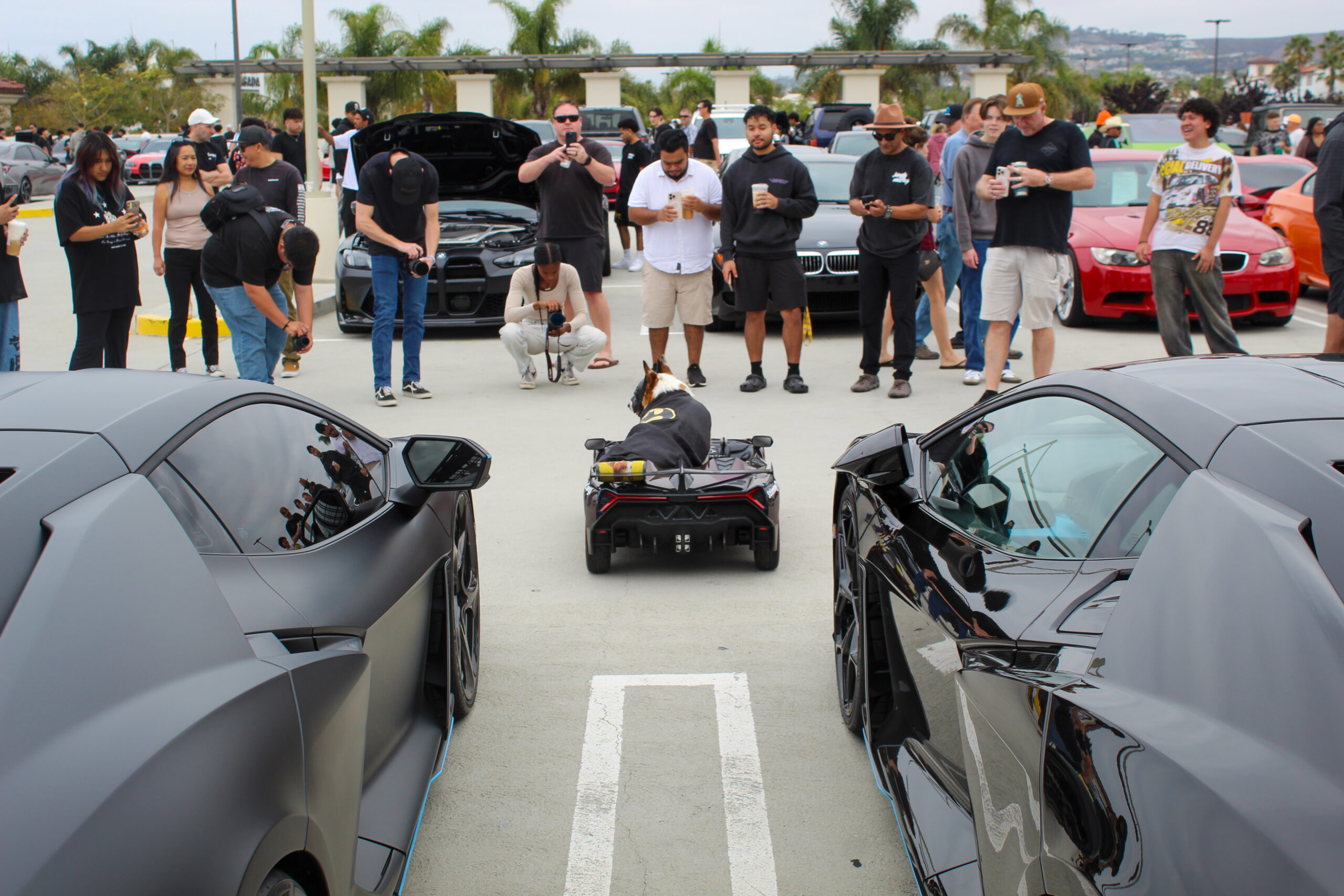 Really Big Show: South OC Cars & Coffee in California