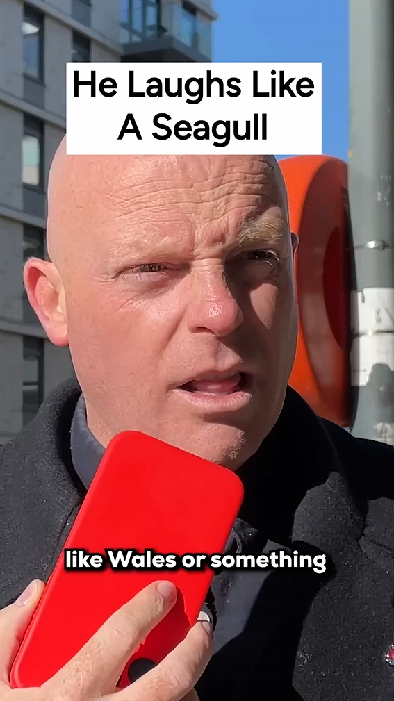 that-laugh-sounded-like-a-seagull-prank-call