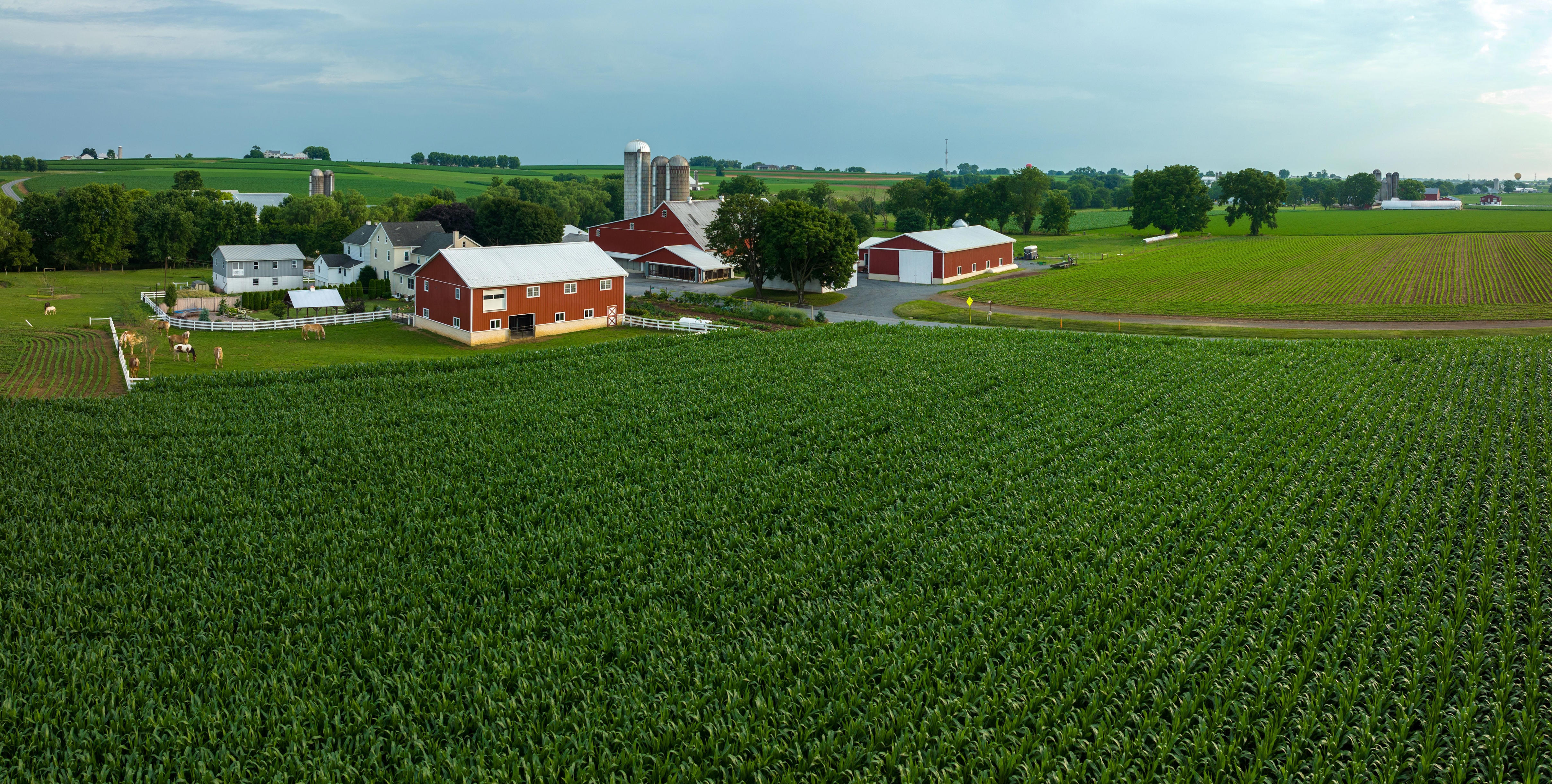 Aerial view of a farm in Pennsylvania