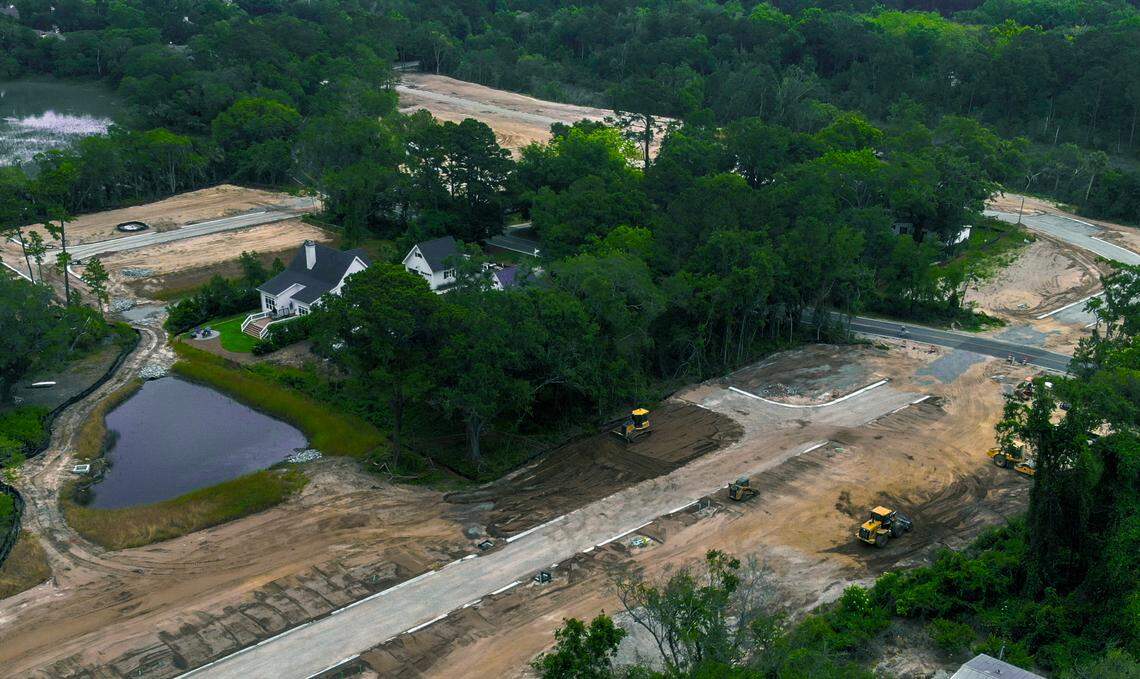 Hilton Head couple wants a backyard pool. One tree stands in their way