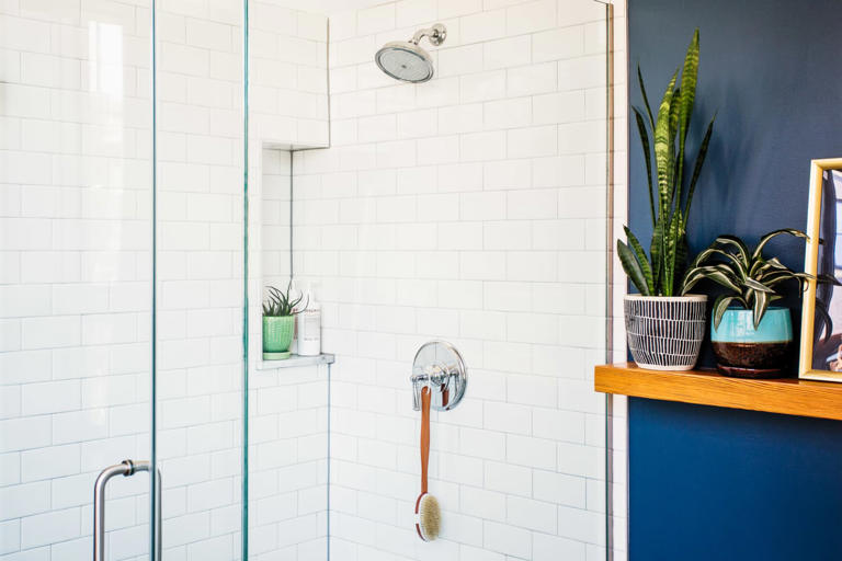 I Did This 5-Minute Shower Upgrade, and It's Made My Daily Routine 10x ...