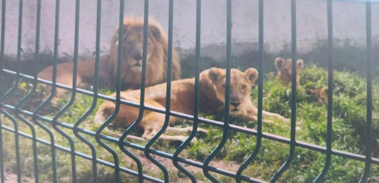 Detienen a cinco hombres y 2 mujeres por privación de libertad FOTO: Especial