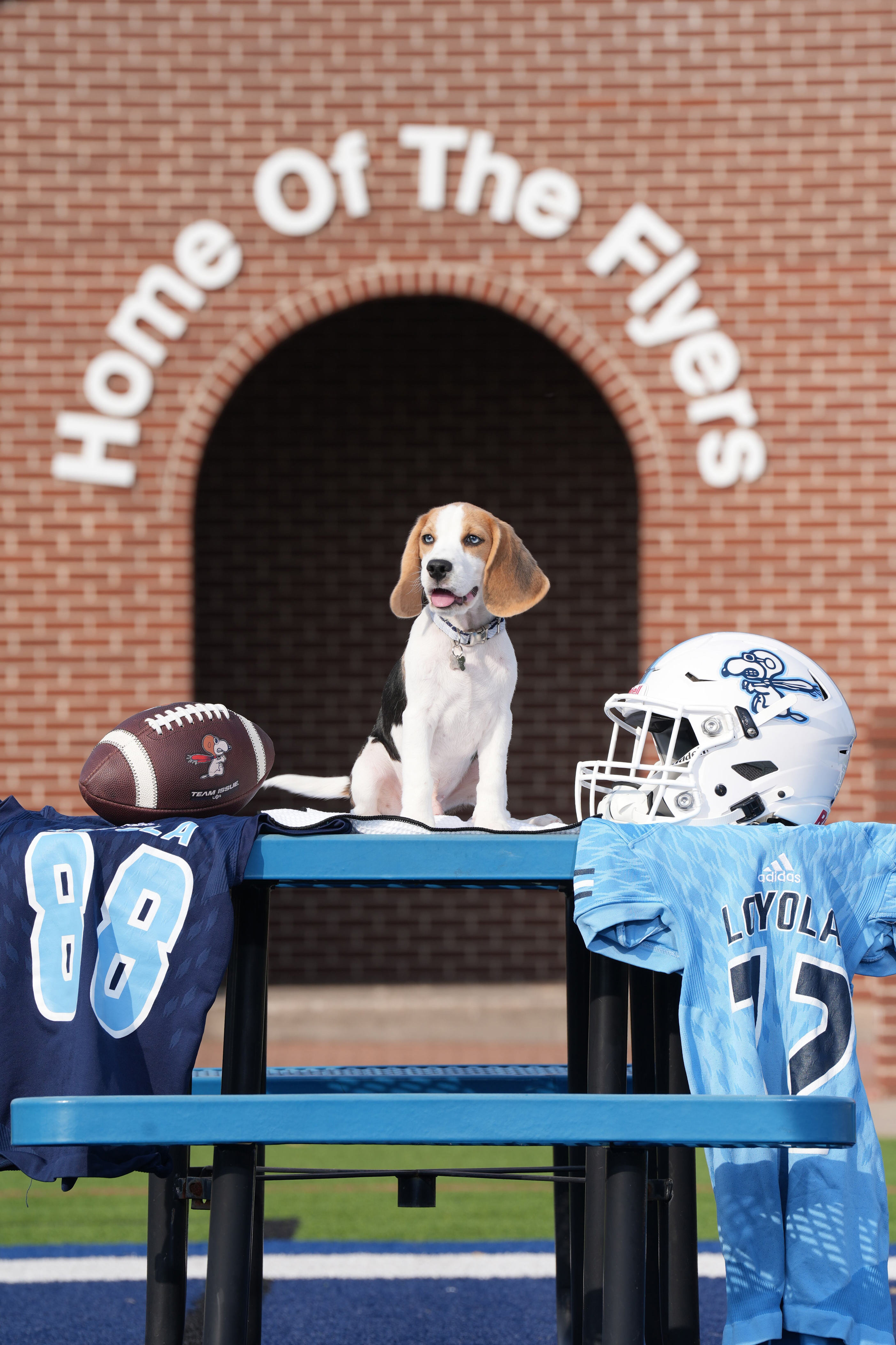 Loyola College Prep introduces first live mascot