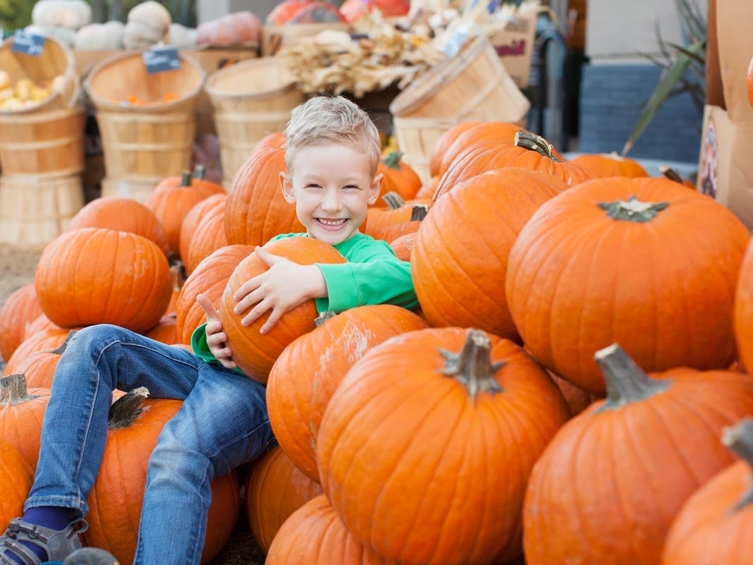 2025 Minnesota Fall Fun Events Guide