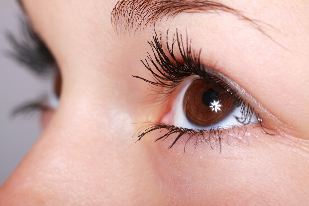 Looking back in time: How eye movements shape memory recall