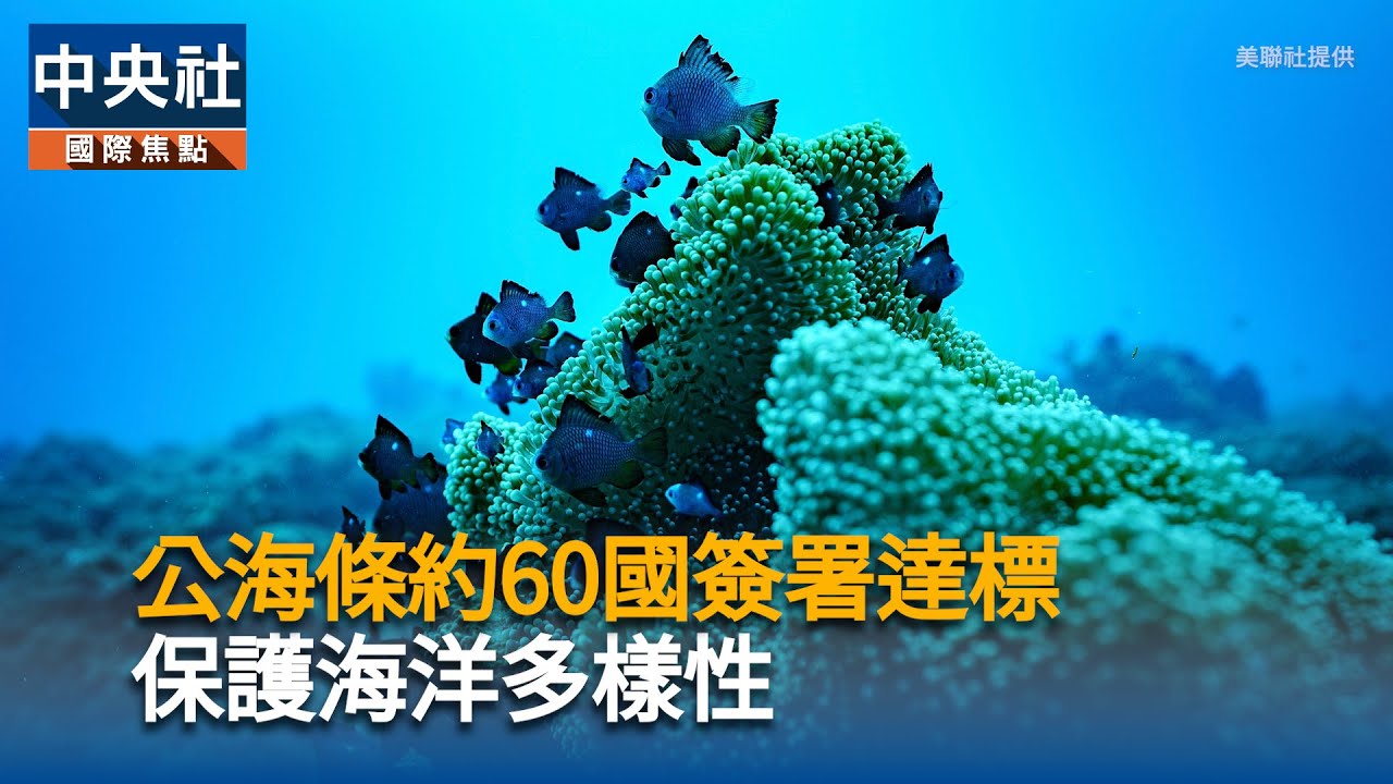 公海條約60國簽署達標 保護海洋多樣性