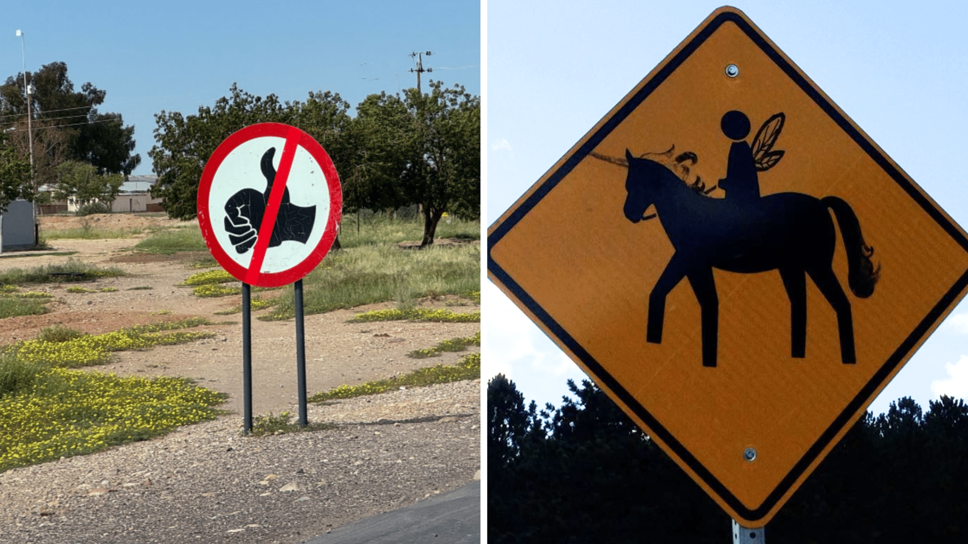 20 Unusual U.S. Road Signs With Odd Warnings