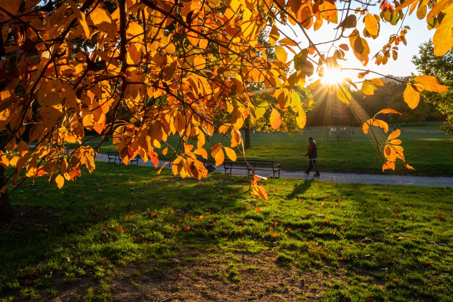Stretch of sun for NYC as spooky season comes to a close