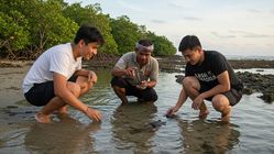 Mengejar Sunset? Ini 5 Wisata Bahari Edukatif Jatim Paling Hits 2025, Bukan Hanya untuk Foto!
