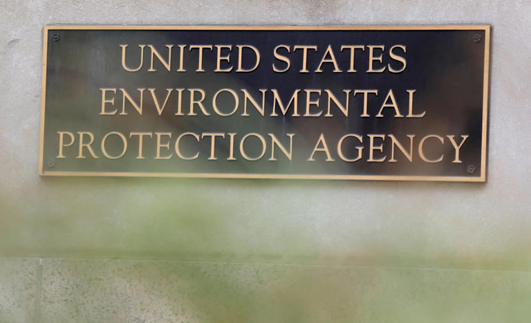 Trump’s EPA pulls plug on ‘millions of dollars of research” with no ...