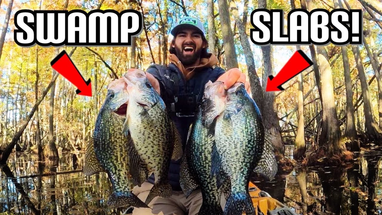 Slabs smashed in flooded forest for epic fishing day