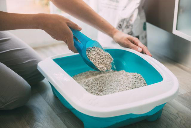 9 Things You Should Never Pour Down the Drain, According to Plumbers