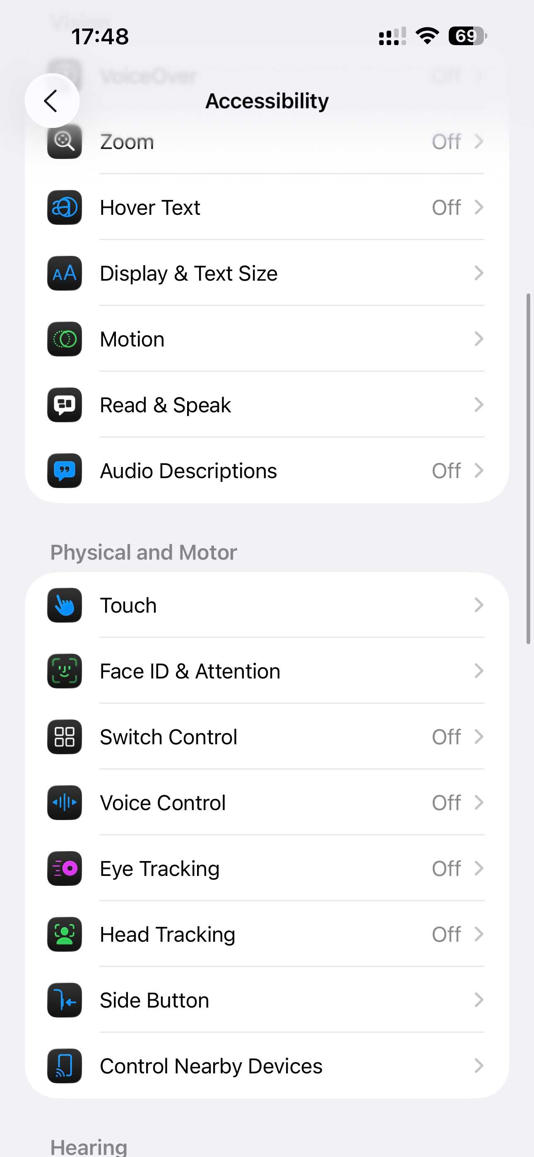 iPhone Accessbility settings page.