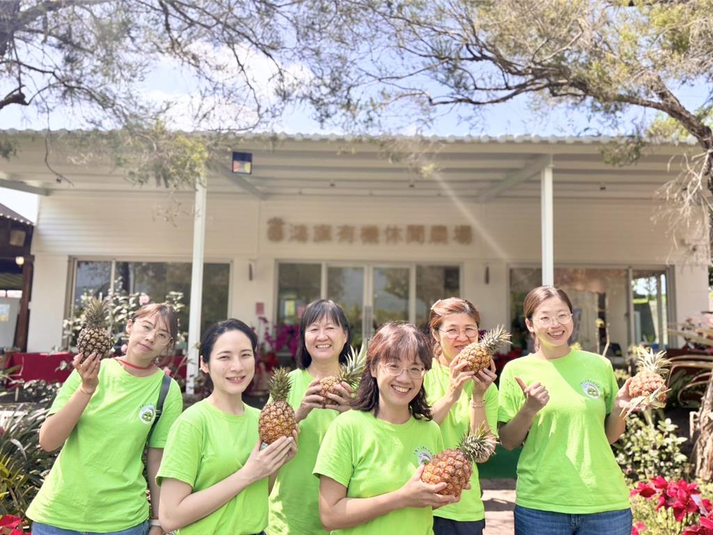 高雄市鳥松幼兒園以鳳梨田為教室推動特色課程，代表高雄參加「114年度教學卓越獎」幼兒教育組，成功入圍金、銀質獎。（高雄市教育局提供／林雅惠高雄傳真）