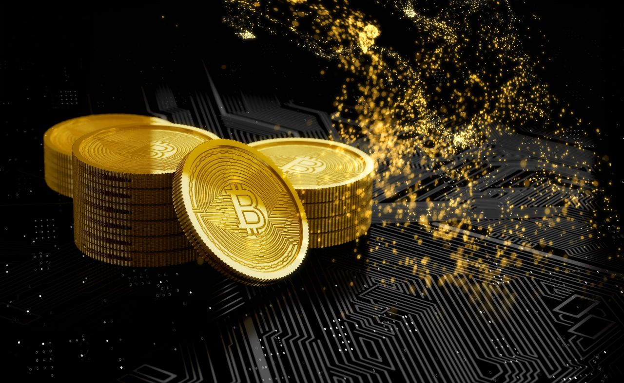 비트코인·金 사지 마세요