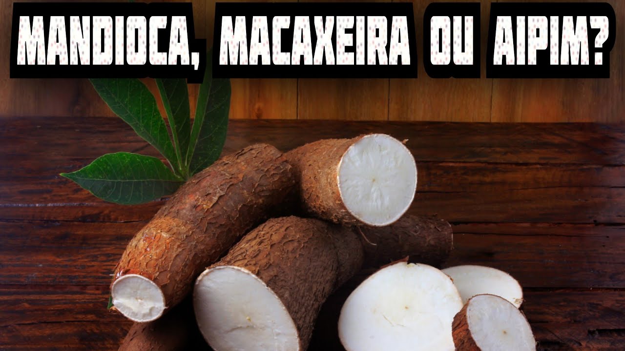 Mandioca, Macaxeira ou Aipim? Entenda a Diferença de Uma Vez por Todas