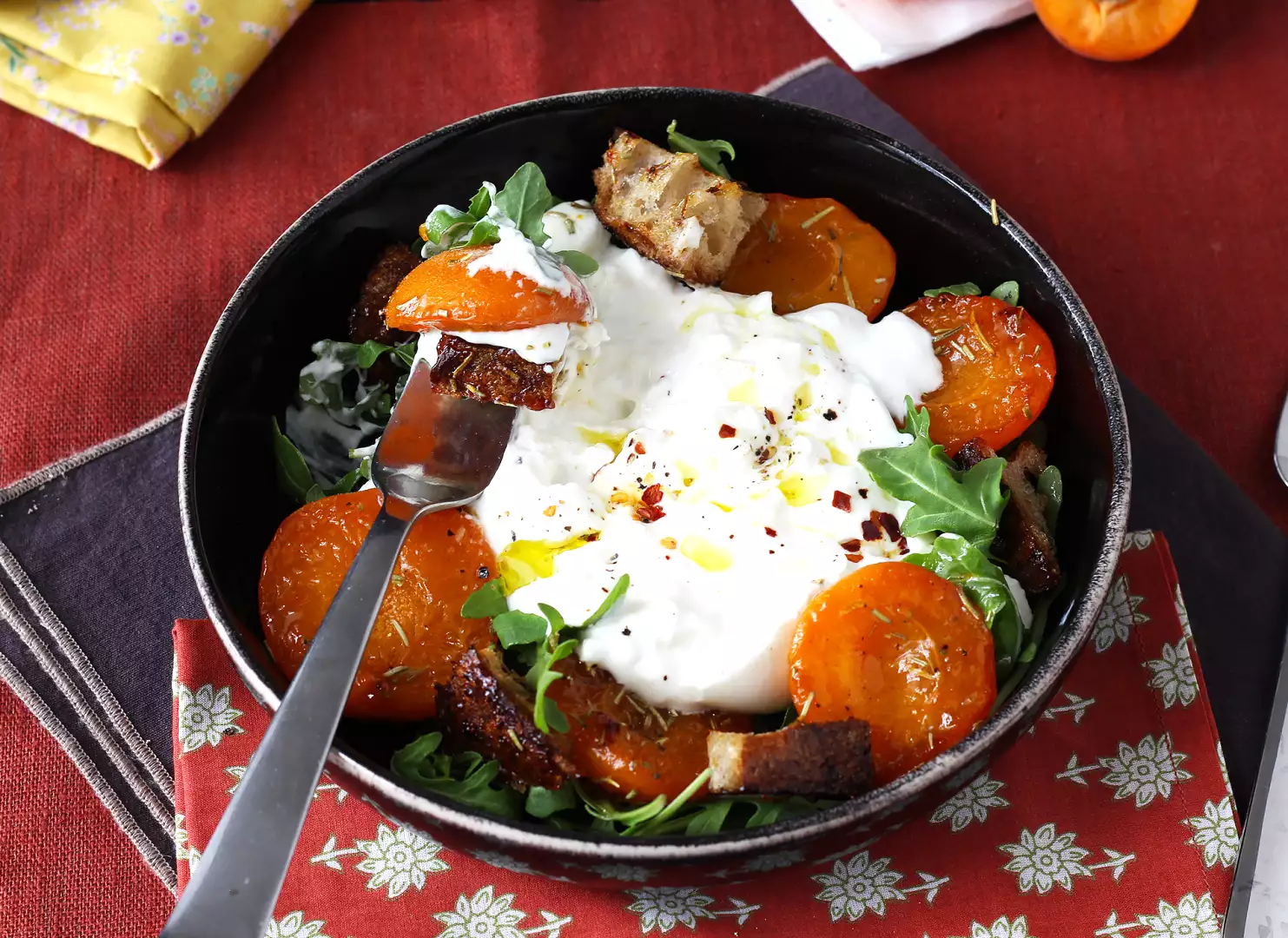 Salat aus gerösteten aprikosen, rucola und burrata