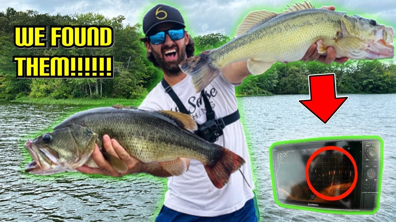 Insane bass school discovery triggers massive frenzy