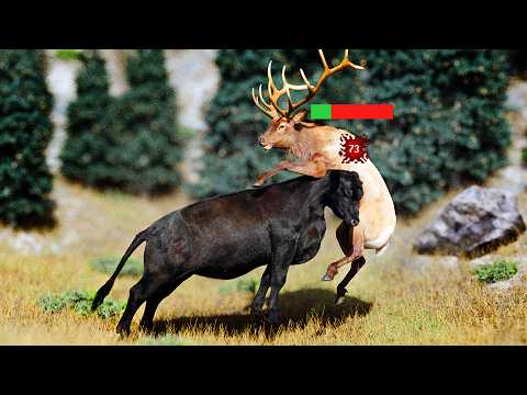 Are Cows Really OP - The Surprising Truth Behind Their Strength