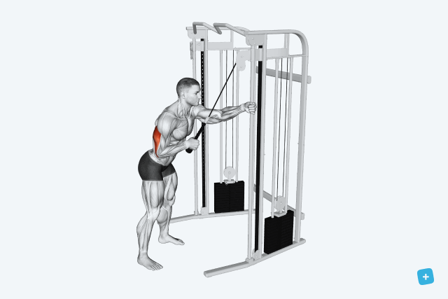 Imagem ilustrativa número 22