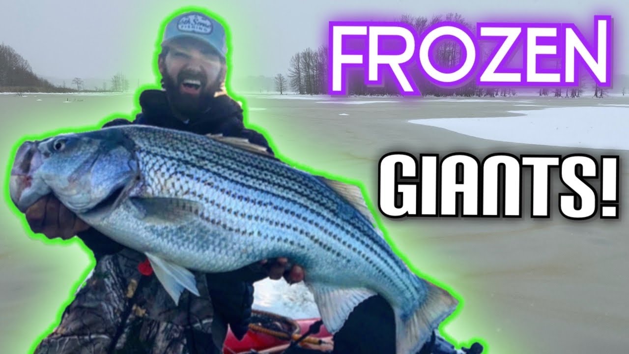 Hunting river giants in record-breaking cold
