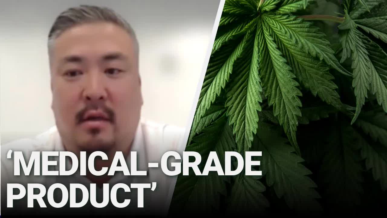 Cannabis CEO Pitches Nevada Expansion, Promises Jobs and Tax Revenue