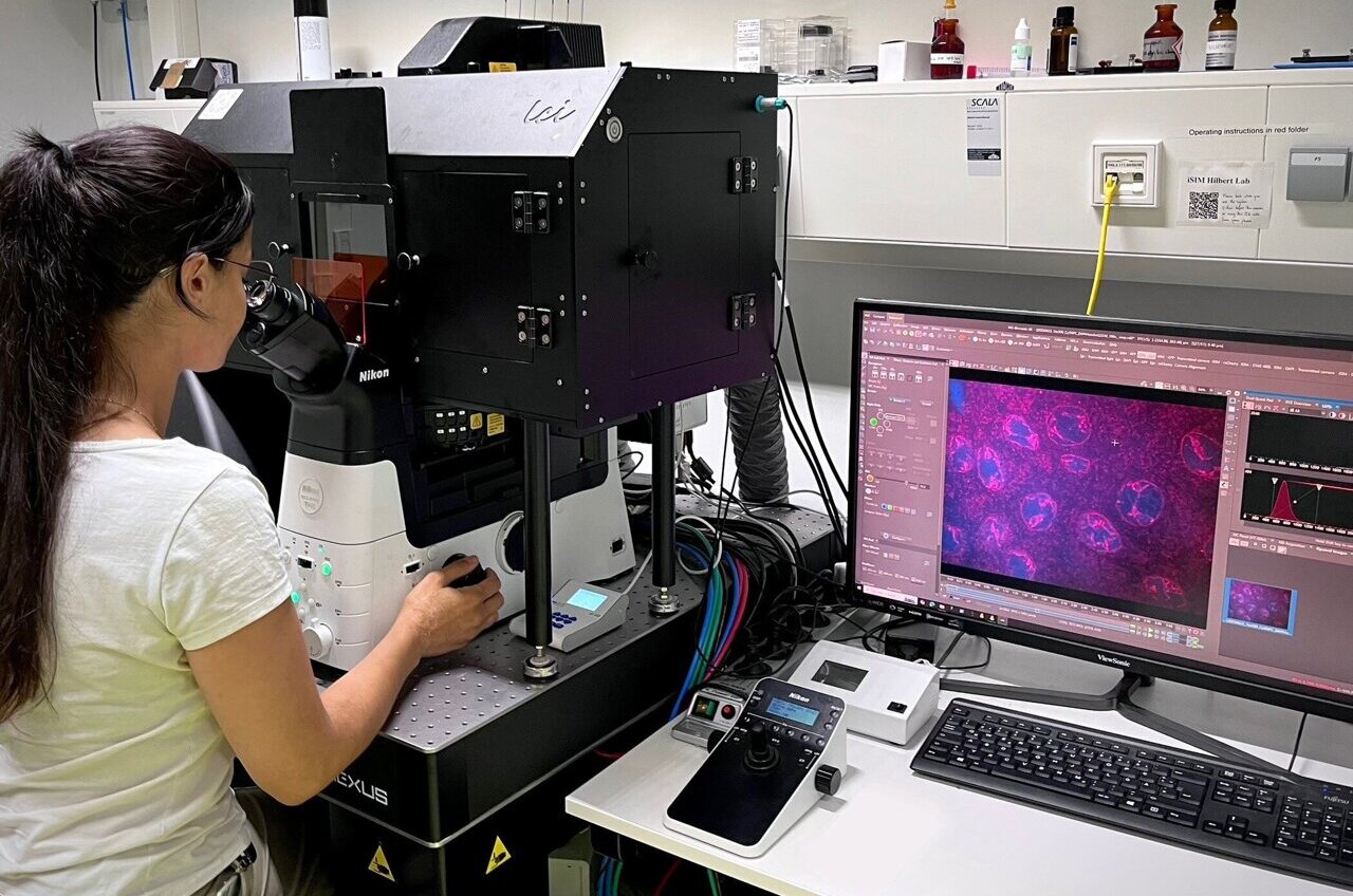 Molecular biomimetics: The cell nucleus as a model for DNA-based ...