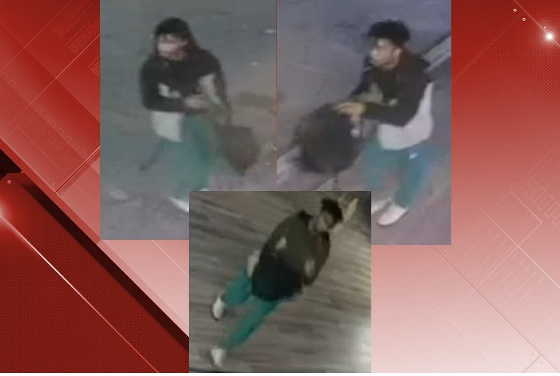 Teen arrested after Danville PD releases burglary surveillance photos