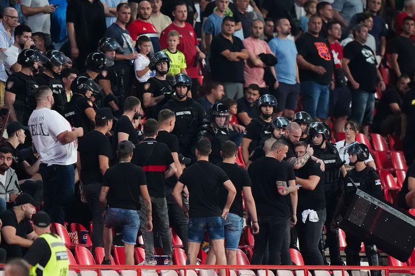 Riot police charge into crowd during Serbia vs England as child lifted out