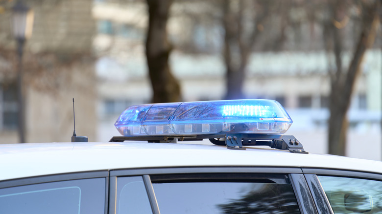 A close-up view of a police vehicle with blue lights patrolling near a public park