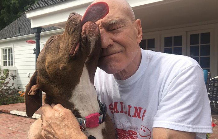 Celebrities Who Love Feeding Grass To Their Dogs preview