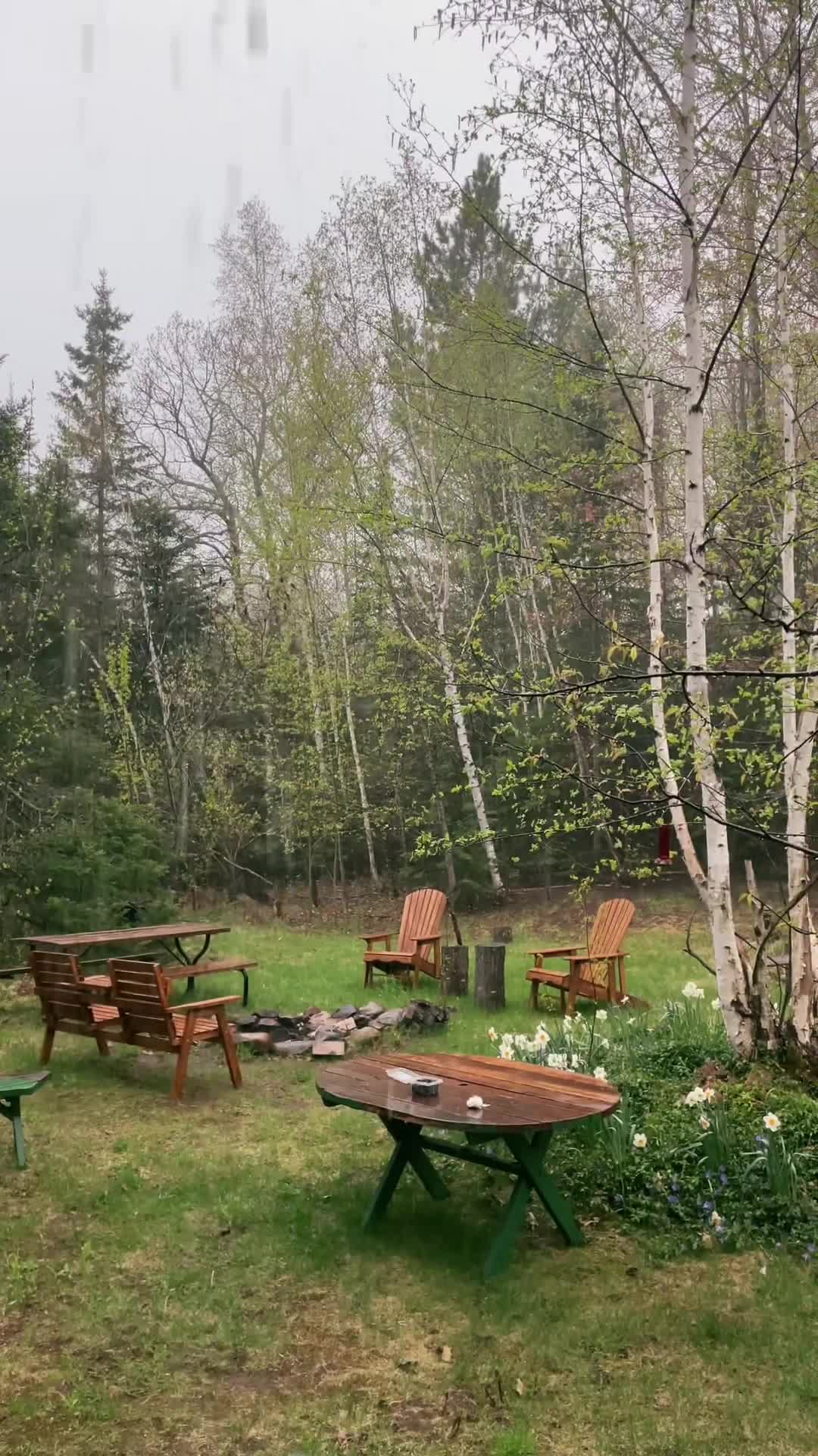 The best weather 🌿🌧