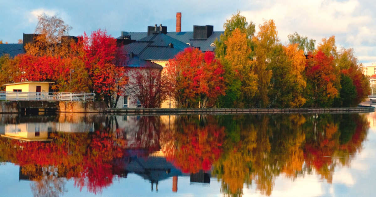 Fall Colors on River Oulujoki at Oulu (Representative Image Source: Getty Images | Photo by Heikki Salmi)