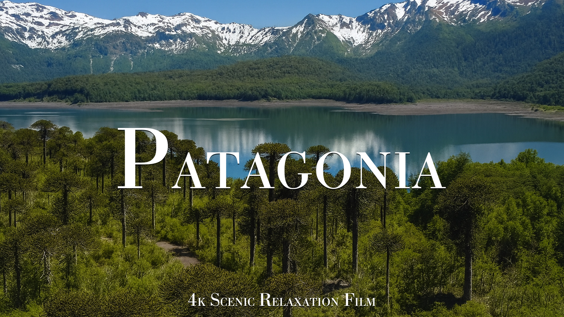 s-h-r-ser-naturen-ut-i-patagonien-inspelat-i-4k