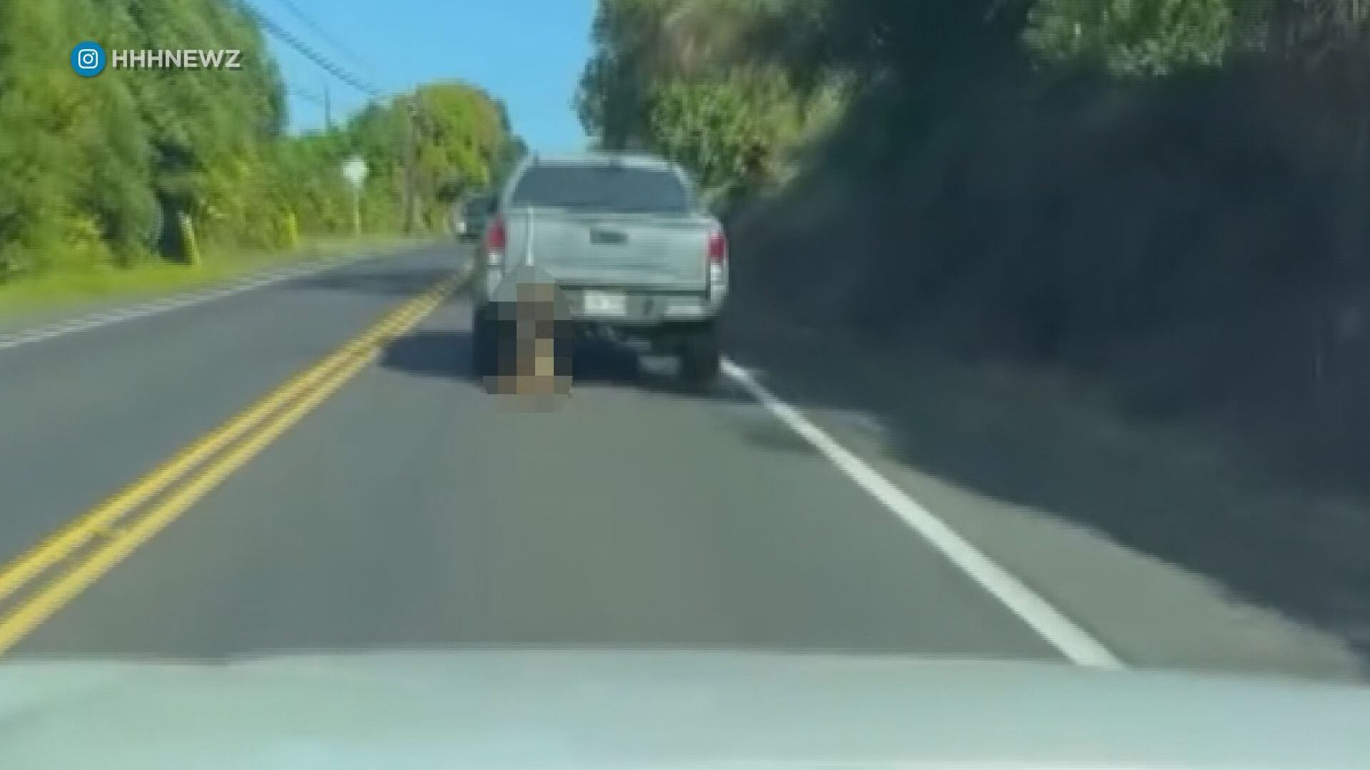 Police address viral video of dog being dragged by truck