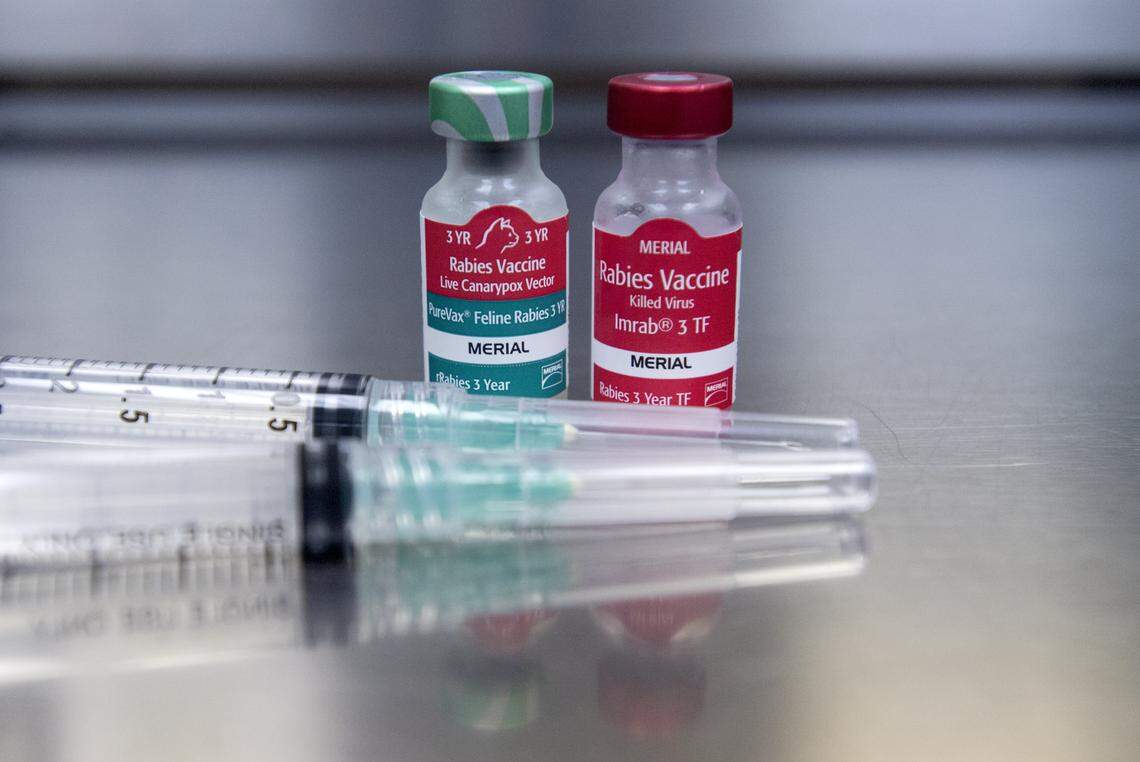 Idaho donor dies of rabies, transmits virus via kidney transplant, CDC says