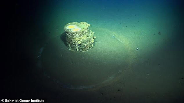 Scientists have finally solved the mystery of the 'halo' barrels which litter the ocean floor off the coast of Southern California 
